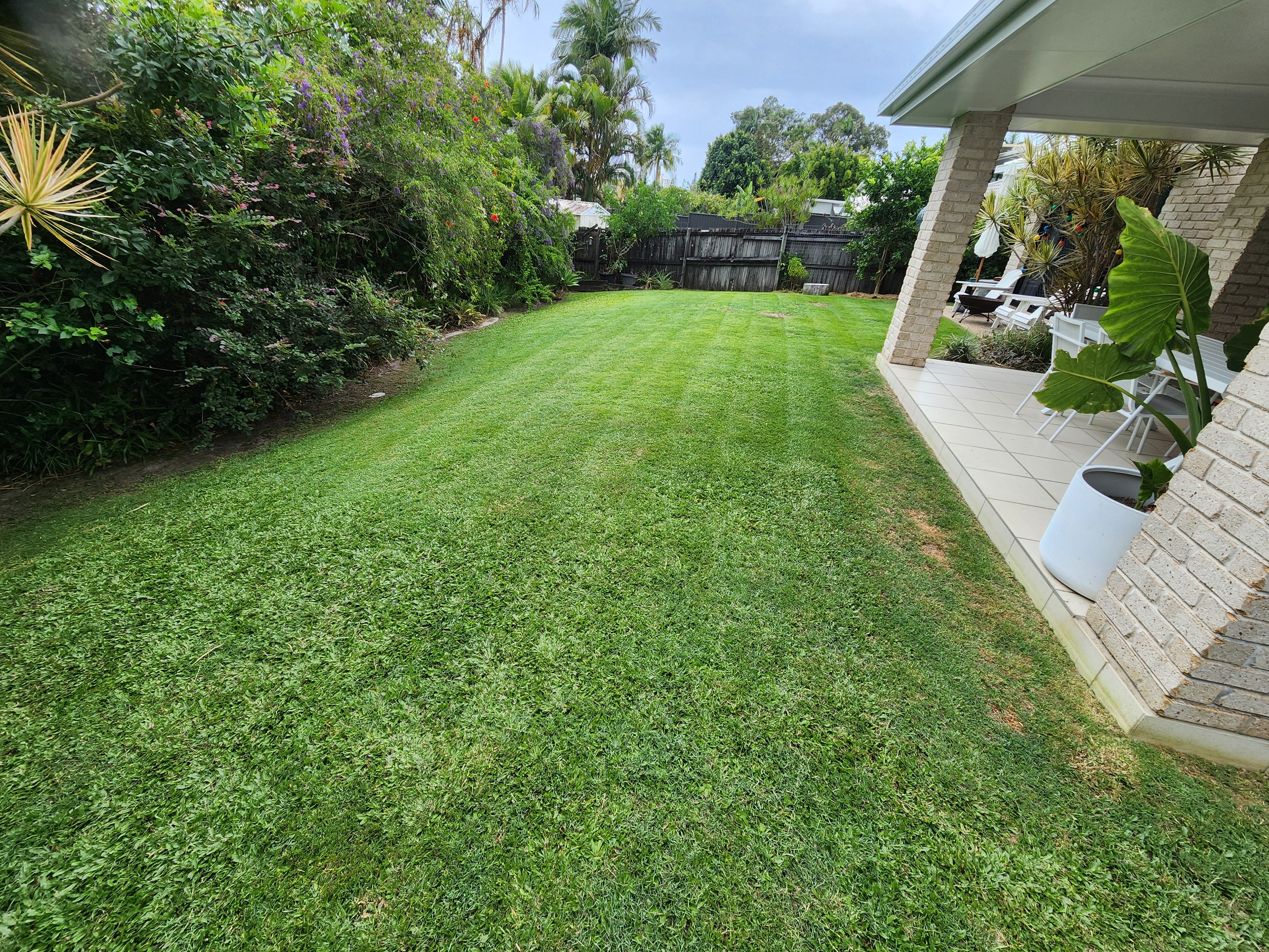 Lush backyard lawn with garden beds and patio